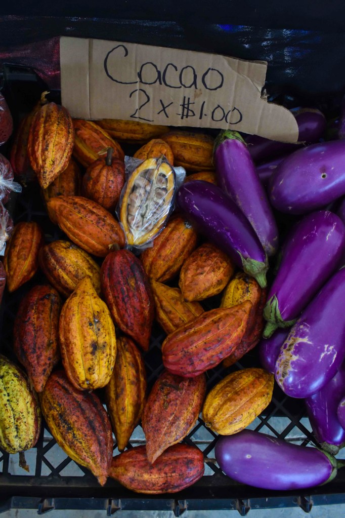 Image of cacao seed pods and eggplant for sale at a farmer's market in Puerto Rico. Copyright Jana M. Giles. All rights reserved.